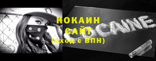 соль ск Алексин