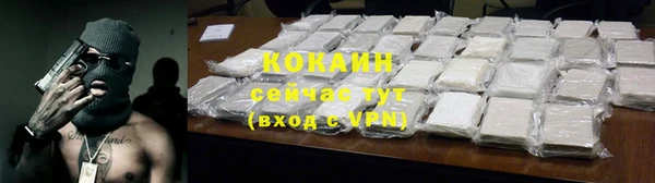 хмурый Алзамай