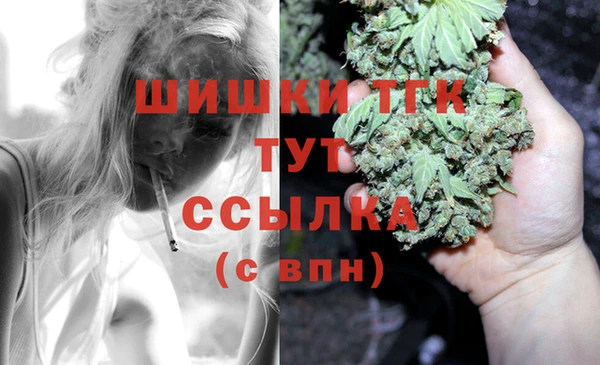 ПСИЛОЦИБИНОВЫЕ ГРИБЫ Алексеевка