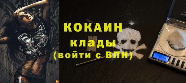 хмурый Алзамай
