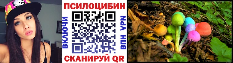 дарнет шоп  Лесосибирск  kraken ссылки  Псилоцибиновые грибы Magic Shrooms 
