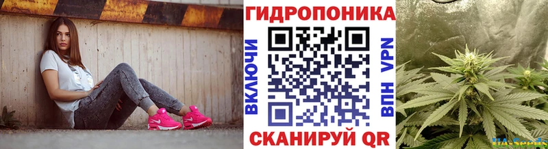 Конопля LSD WEED  Лесосибирск 